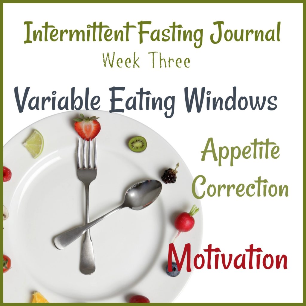 Intermittent Fasting Journal: Week 3