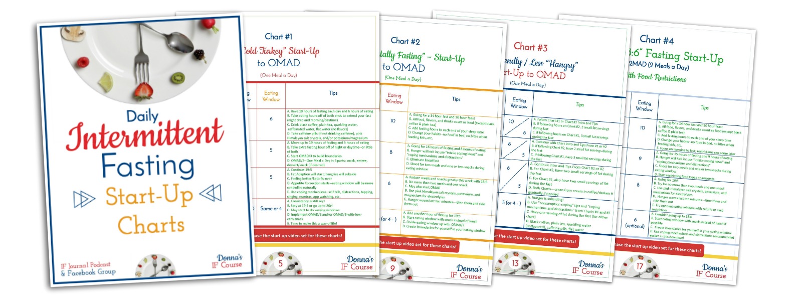 Daily Intermittent Fasting Start Up Charts - Donna Reish