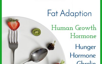 Intermittent Fasting Journal – Week 17