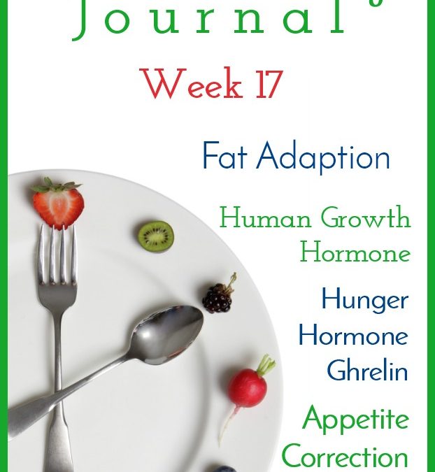 Intermittent Fasting Journal – Week 17