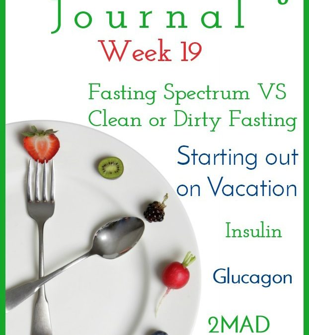 Intermittent Fasting Journal – Week 19