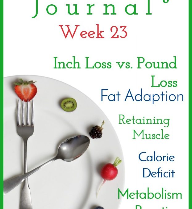 Intermittent Fasting Journal – Week 23