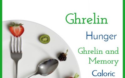 Intermittent Fasting Journal – Week 30