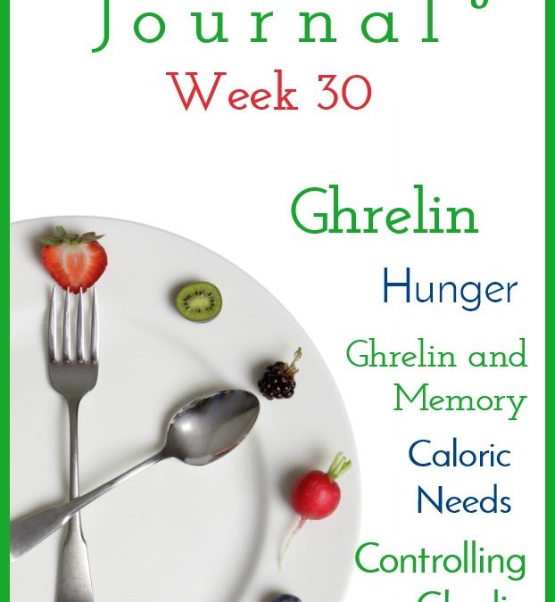 Intermittent Fasting Journal – Week 30