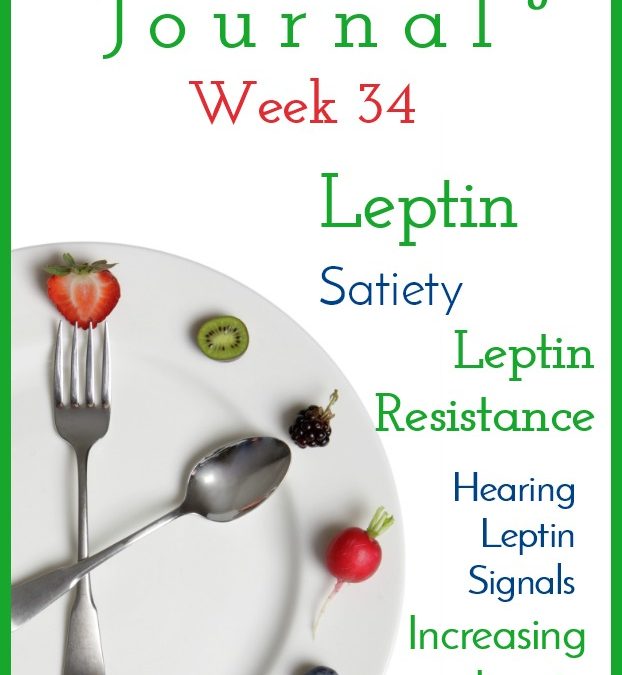Intermittent Fasting Journal – Week 34