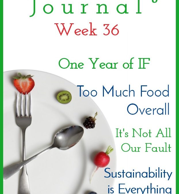 Intermittent Fasting Journal – Week 36